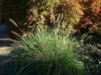 /album/hochzeit-in-england/dsc-0051-jpg/