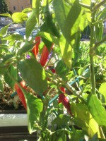 /album/hochzeit-in-england/dsc-0043-jpg/