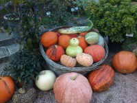 /album/hochzeit-in-england/dsc-0045-jpg/