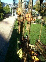 /album/hochzeit-in-england/dsc-0047-jpg/