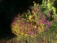 /album/hochzeit-in-england/dsc-0050-jpg/