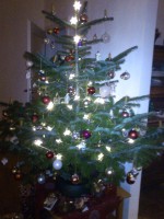 /album/hochzeit-in-england/dsc-0115-jpg/