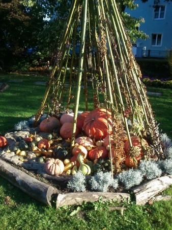 Botanischergarten Linz Herbst 13