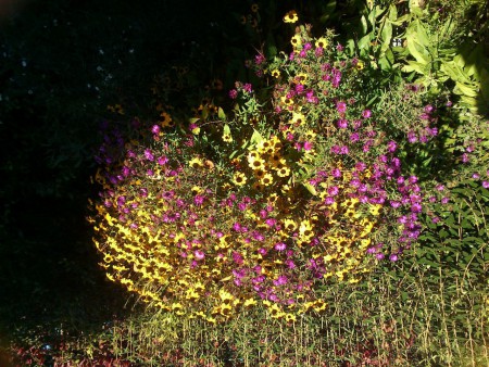 Botanischergarten 13