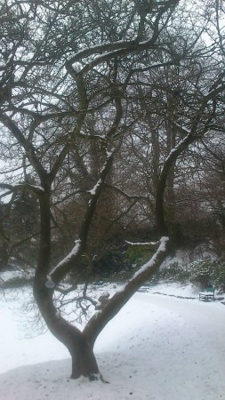 unser park im winter